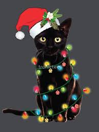 Black Santa Cat Tangled Up In Lights Christmas Santa T Shirt T Shirt By Tronic Aff Aff Cat Tangled B Christmas Cats Black Cat Art Christmas Animals