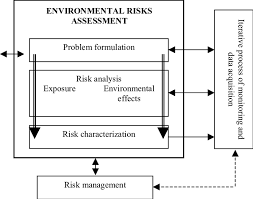Flow Chart Of Environmental Risk Assessment Download