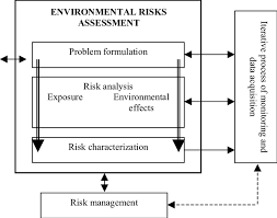 flow chart of environmental risk assessment download