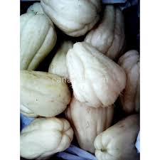 Chayote ha 14 traduzioni in 7 lingue. Buy Sechium Edule White White Chayote With Canarius