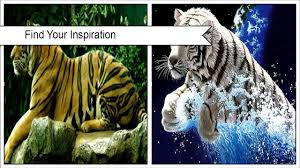 You can also download wallpaper from above listed resolution. 3d Tiger Wallpaper 2018 For Android Apk Download