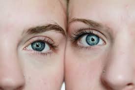 If you've accepted the fact that castor oil won't work to grow your lashes, but you still want to try it out for conditioning purposes, here's how to do it: Castor Oil For Eyelash Eyebrow Growth Explained Maple Holistics Real Ingredients Real Results