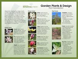 Magnolia is an ancient genus. Green Bay Botanical Garden Magnolia Collection
