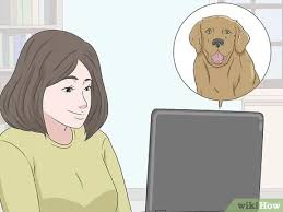 Selling puppies isn't as simple anymore as staking a sign out on your front lawn to advertise. How To Buy A Puppy Online Safely 15 Steps With Pictures