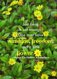 Just Living Is Not Enough One Must Have Sunshine Freedom And A Little Flower Just Living Is Not Enough One Must Have Sunshine Freedom And A Little Flower Hans Christian Anderson