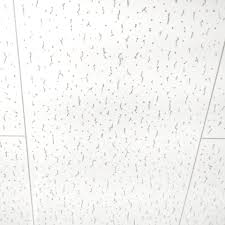 岩 綿 吸音 板 ジプトーン