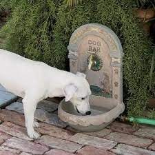Others can provide cooled or warm water. Find Unusual Gifts Uber Cool Gifts Dog Fountain Dog Area Dogs