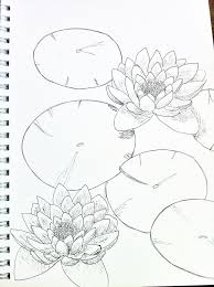 Pin Auf Dibujos