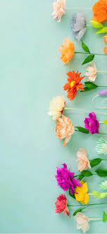 We did not find results for: 28 Best Flowers Iphone Wallpapers Backgrounds Templatefor