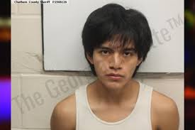 Darwin Martin — Chatham County Jail Bookings