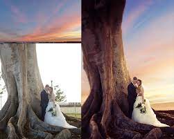 What i mean by that is that they are not authentic or genuine and would never stand. Wedding Photo Edit Ipad Pro 10 5 Share Your Work Affinity Forum