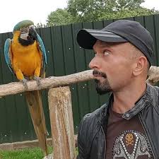 The Internet Adventures of Michael, Dua & Zane: Chauhan, Waseem:  9798324762780: Amazon.com: Books