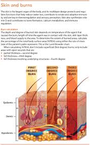 Initial Assessment And Management Of Burn Patients