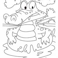 Desenhos De Jacare Para Colorir Tudodesenhos Varios desenhos de jacares para colorir e imprimir. desenhos de jacare para colorir