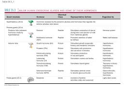 What Hormones Are Produced By Endocrine Glands