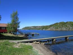 0800 33 33 5 44. Australian Shepherds Sammy Und Kaya