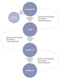 Increase Deep Sleep Percentage A Comprehensive Guide Deep Sleep Biohacking Nrem Sleep