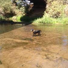 Hatfield state recreation area fotos. George J Hatfield State Recreation Area Hilmar California Rv Parks Mobilerving Com