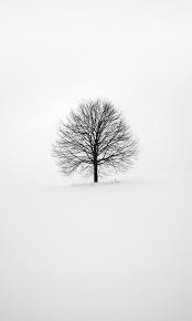 We've gathered more than 5 million images uploaded by our users and sorted them by the most popular ones. Black And White Wallpaper Hd Background For Android Apk Download