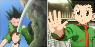 What Is Gon'S Adult Form? - Quora