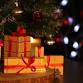Wrap it Up for the Holidays Craft and Tradeshow event image