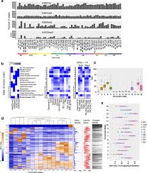 Genetic mutations that cause cancer also weaken cancer cells, allowing researchers to develop drugs that will selectively kill them. Integrative Pan Cancer Analysis Reveals Epigenomic Variation In Cancer Type And Cell Specific Chromatin Domains Nature Communications