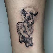 Pin and save 13 ideas. Image Result For Cute Goat Tattoo Tiertattoos Tier Tattoo Lamm Tattoo