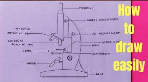 Maybe you would like to learn more about one of these? How To Draw Microscope Diagram For Beginners Step By Step Youtube