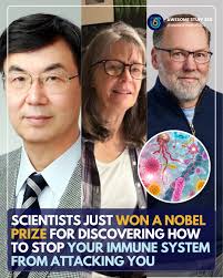 Scientists have won a Nobel Prize for discovering how to stop your immune  system from attacking your body—here's how this breakthrough could change  medicine.
