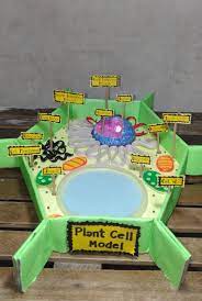 Pulping generally refers to various industrial processes used to convert raw plant materials or recycled paper into a fibrous raw material known as pulp, which is used primarily to make paper or paperboard products (and, to a smaller extent, other products derived from cellulose such as synthetic rayon). Plant Cell Model Using Recycled Materials Plant Cell Model Cell Model Cell Wall