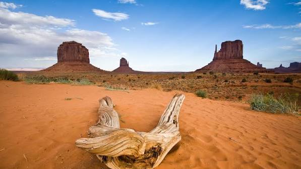 Natucate Blog – United States: Arizona ⋅ Natucate