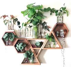 Digging This Propagation Station With The Abstract Shelf Design What Ya Ll Think Perennialpapi Cute Room Decor House Plants Decor Plant Decor