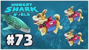 Spike (stethacanthus) is a tier s shark in hungry shark world. Stethacanthus Spike Shark New Shark New Update Hungry Shark World Part 59 Free Online Games