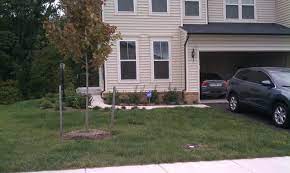 Maybe you would like to learn more about one of these? Landscape Design For Small Yards Case Study Townhouse Front Yard Revolutionary Gardens