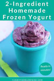 Instant Homemade Frozen Yogurt Just 2 Simple Ingredients Recipe Frozen Yogurt Homemade Frozen Yogurt Healthy Desserts For Kids