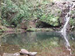 FIELD INVESTIGATION REPORT