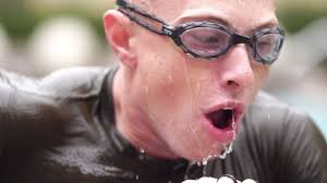 Yüksek Kaliteli Deniz Mühürleri Üretici ve Tedarikçi, Fabrika |ZAFER