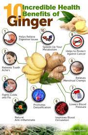A Wonder Plant Called Ginger 10 Extraordinary Health Benefits Infographic Ginger Benefits Health Benefits Of Ginger Coconut Health Benefits