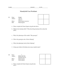 Monohybrid Cross Worksheet Monohybrid Cross Worksheet Warren County Schools Printable