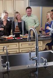 jacobean pull down kitchen faucet