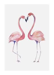 I hope you like it! Purchase Flamingo Couple 2 Poster Online Dearsam Com