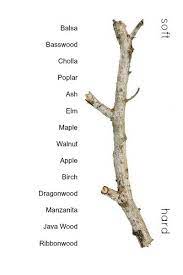 Bird Safe Wood Choosing Wood For Perches And Bird Toys Birdsupplies Com