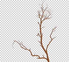 6:11 deuryissa 84 515 просмотров. Ramas Secas Ramas Ramitas Secas Arbol Png Klipartz