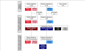 participant flow chart depicting the participants and