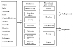 Fundamentals Of Energy Analysis For Crop Production