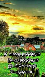 Pin On Bible Verses My Likes In Tamil