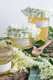 Holunder Gelee Und Der Betorende Duft Weisser Blumen Wolken Have A Try Holunderbluten Rezepte Hollunderbluten Rezepte Gelee