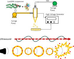 Soal tpa simak ui s2 pdf ini bisa anda download gratisss berikut link soal tpa simak ui s2 pdf. Fabrication Of Ultrasound Responsive Microbubbles Via Coaxial Electrohydrodynamic Atomization For Triggered Release Of Tpa Sciencedirect