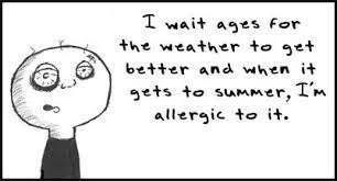 Hayfever Funny Quotes Hayfever Funny Tired Funny