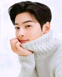 How would you feel if you met Cha Eun-woo in person?